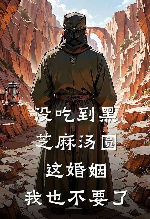 没吃到黑芝麻汤圆，这婚姻，我也不要了楚海宁楚辰热门小说阅读_完本完结小说没吃到黑芝麻汤圆，这婚姻，我也不要了楚海宁楚辰