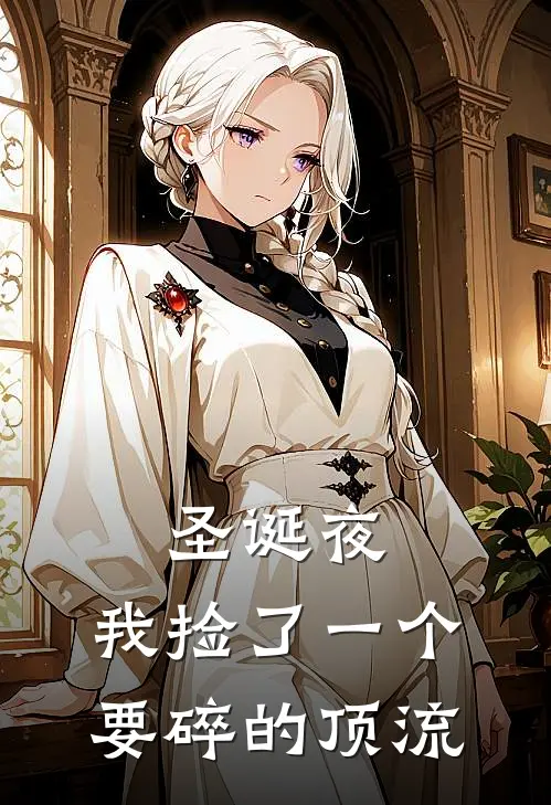 圣诞夜，我捡了一个要碎的顶流